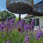 Apartmán Haus Am Schilf Wieck