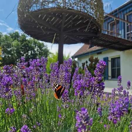 아파트 Haus Am Schilf 비에크