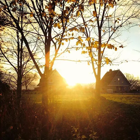 Haus Am Schilf 아파트 비에크