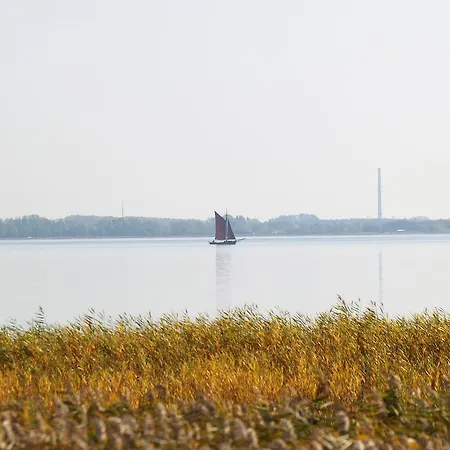 Haus Am Schilf 비에크